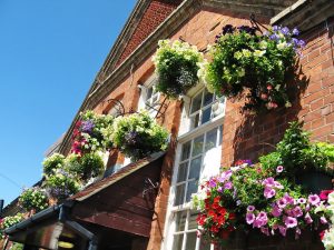 Escuela de inglés en Bournemouth | BEET Language Centre Bournemouth 17