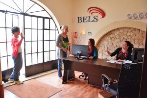 Escuela de inglés en Gozo | BELS Gozo 8