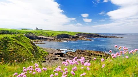 Cursos y escuelas de inglés en Irlanda