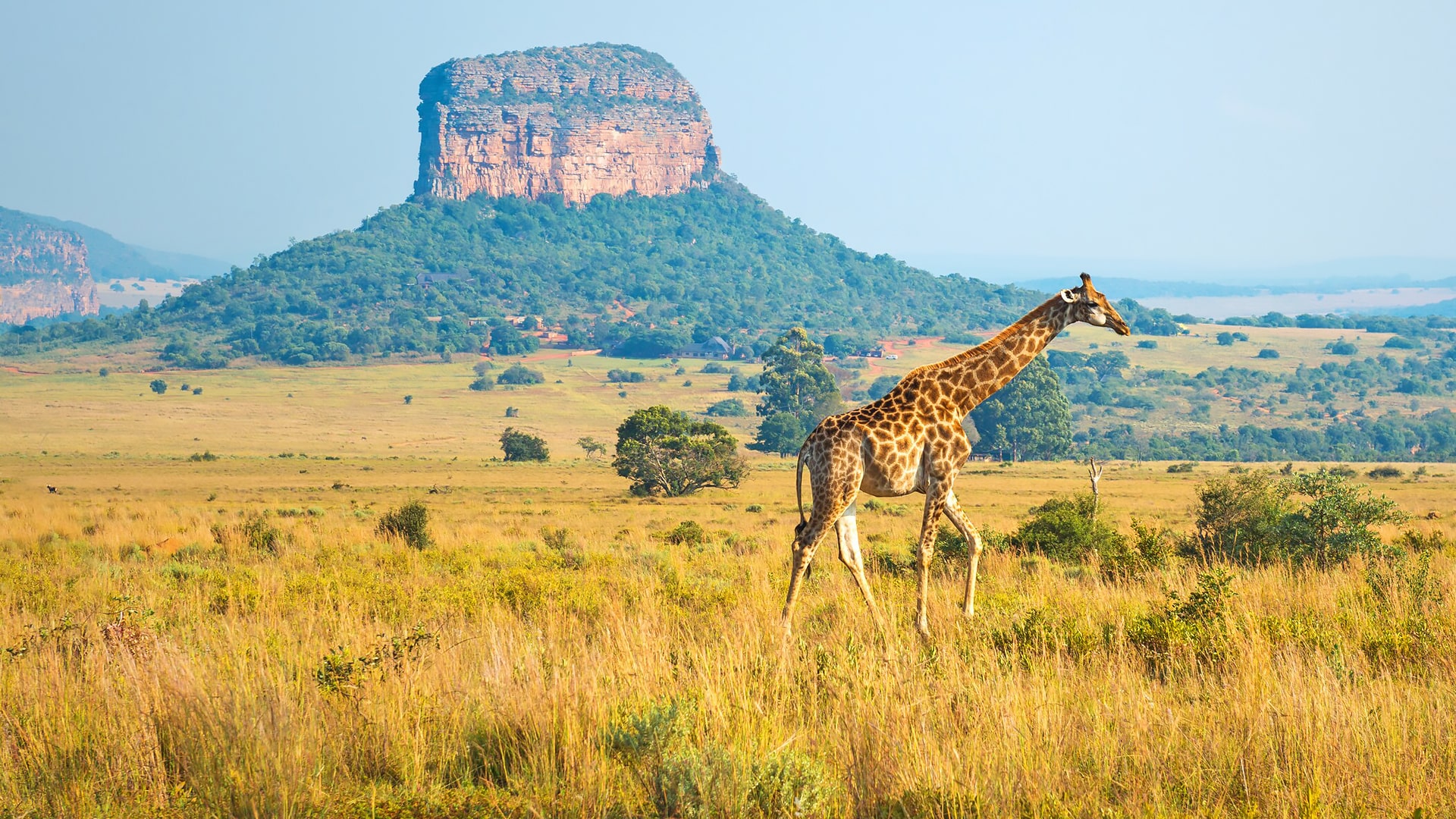 Cursos y escuelas de inglés en Sudáfrica