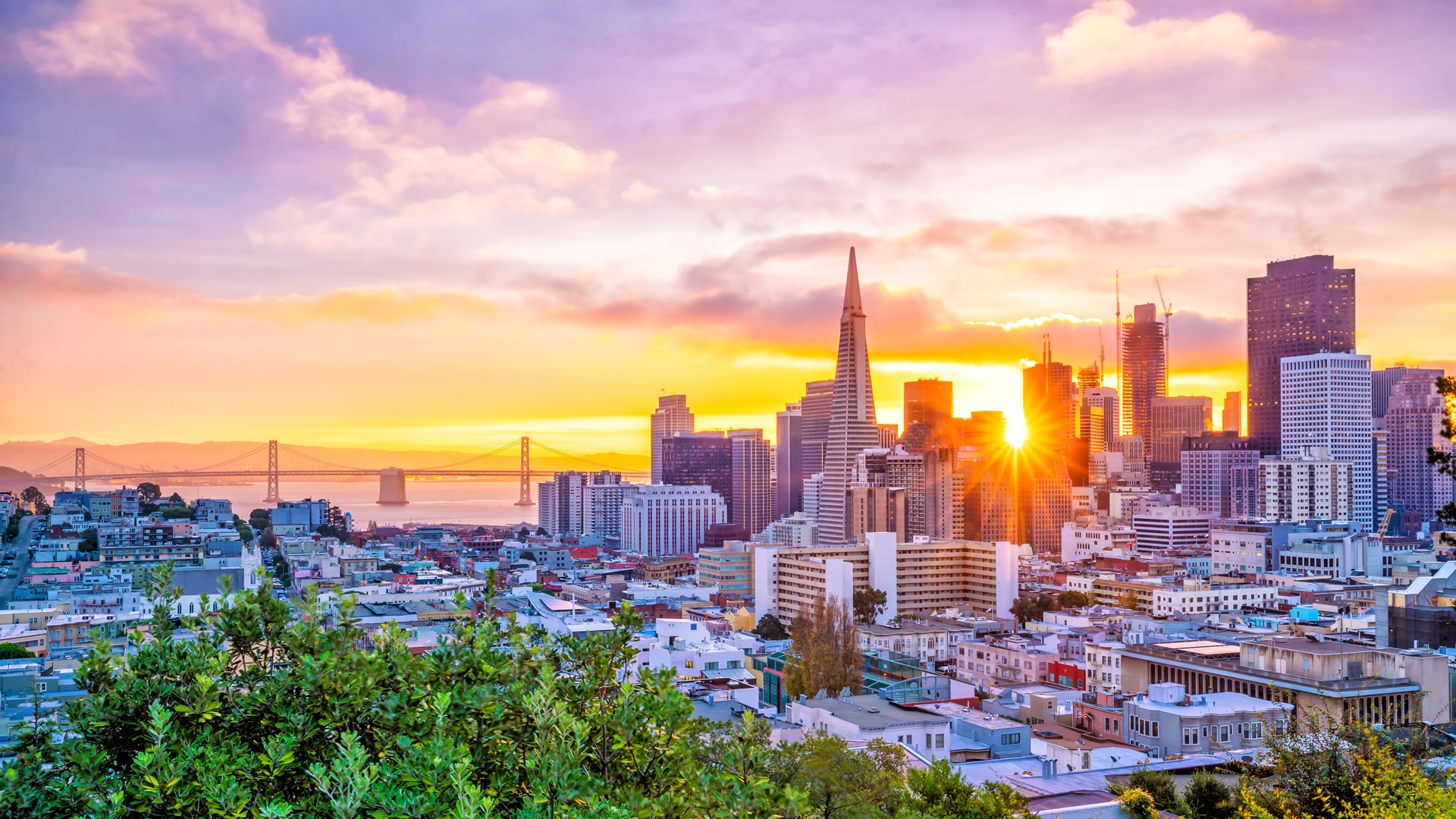 Escuela de inglés en San Francisco | EC English San Francisco