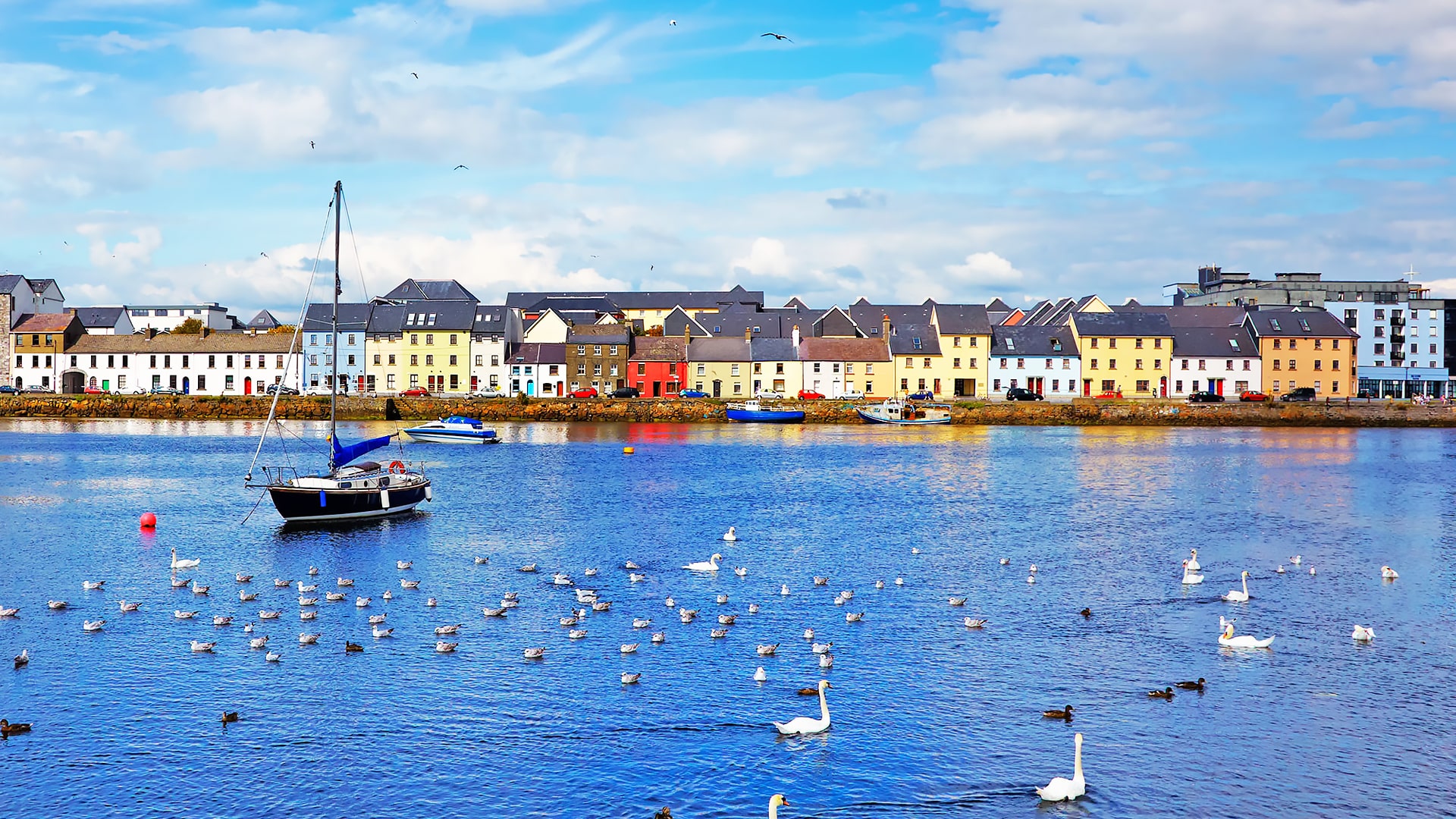 Escuela de inglés en Galway | GCI Galway Cultural Institute