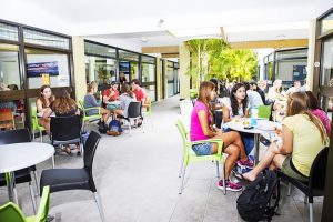 Escuela de inglés en Noosa | Lexis English Noosa 3