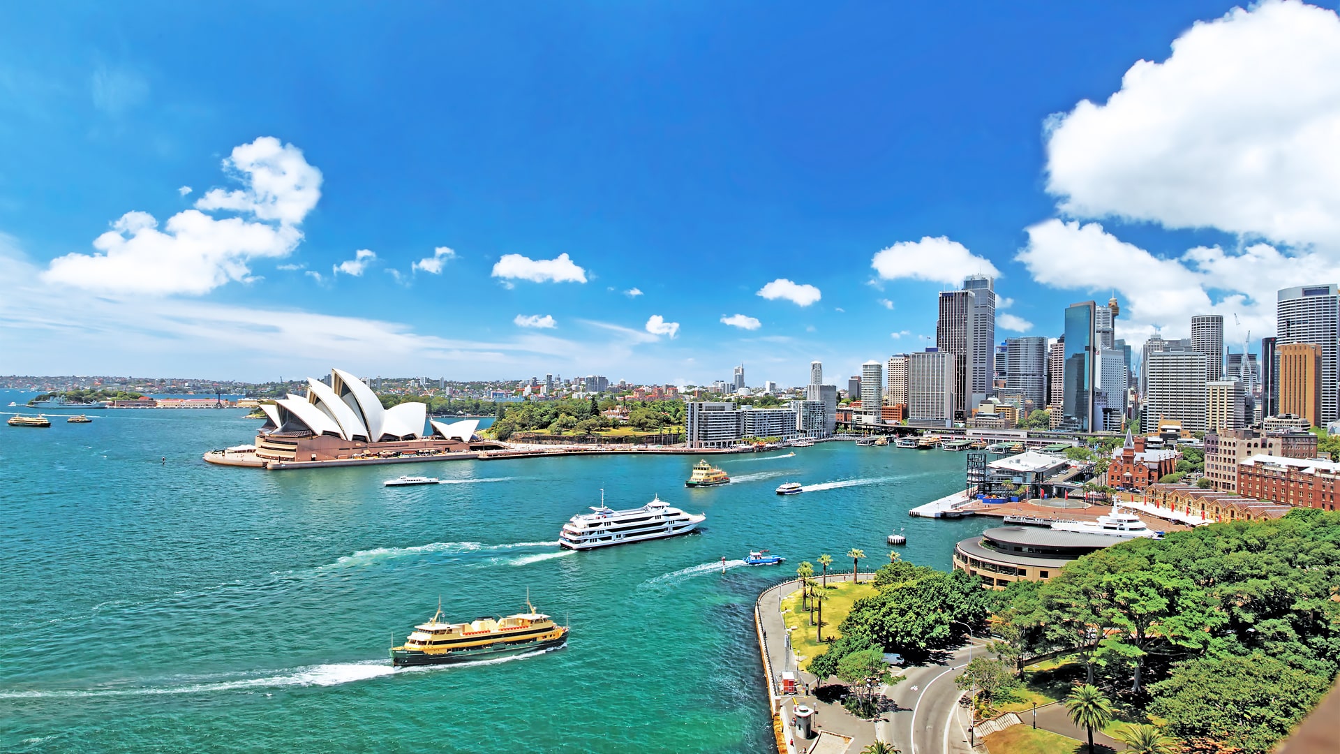 Escuela de inglés en Sídney | SELC Sydney