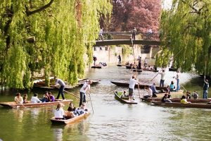 Escuela de inglés en Cambridge | Studio Cambridge 19