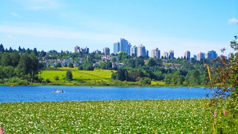 Año escolar en Canadá en el  