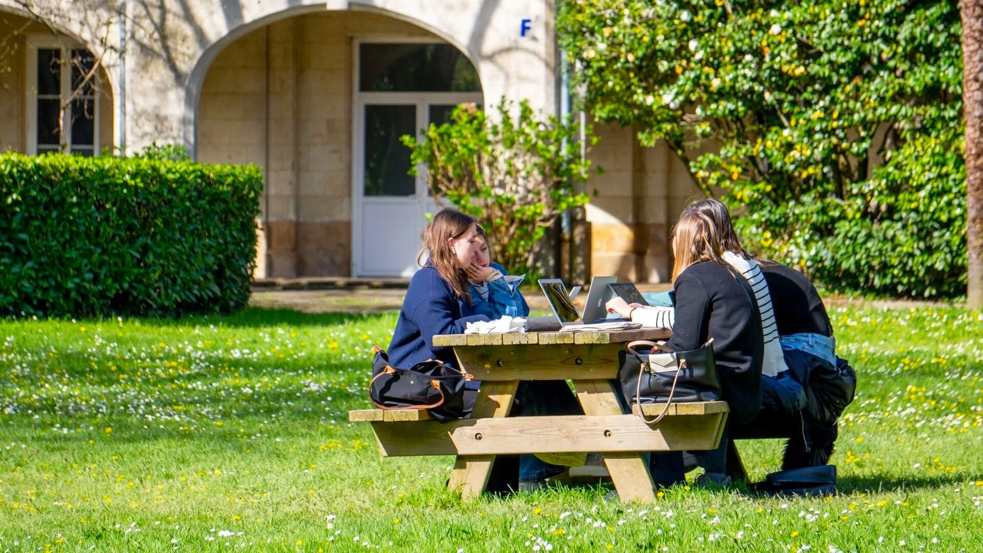 Opiniones del año escolar en Francia