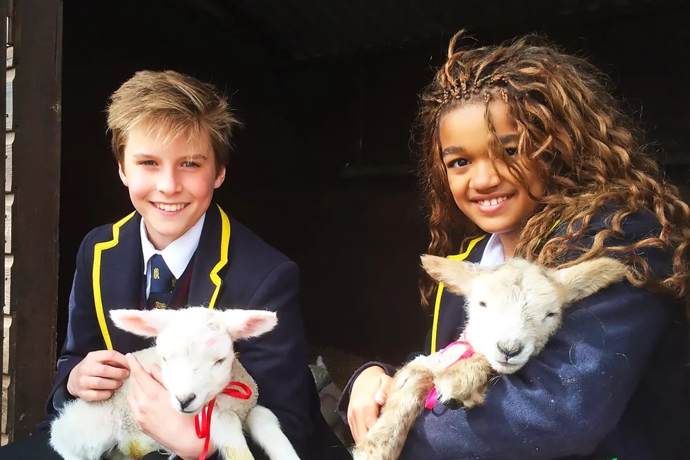 Alojamiento del año escolar en el internado privado Buckswood School
