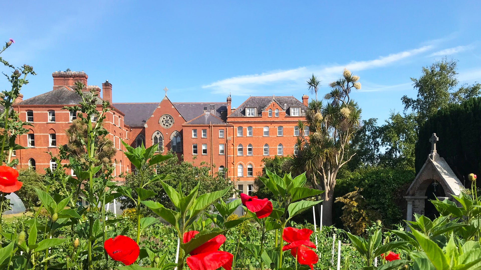 Colegio año escolar en Irlanda Dominican College Wicklow