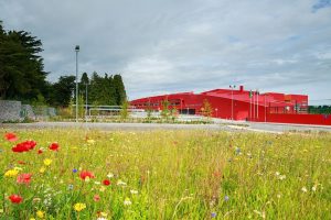 Colegio en Irlanda Athlone Community College