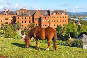 Colegio en Irlanda Dominican College Wicklow