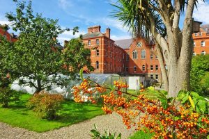 Colegio público en Irlanda Dominican College Wicklow