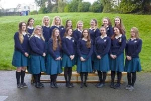 Trimestre o semestre en Irlanda