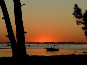 Campamento de verano de francés y surf en Arcachon, Francia 14