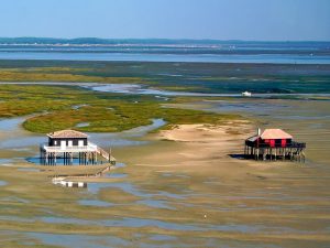 Campamento de verano de francés y surf en Arcachon, Francia 20