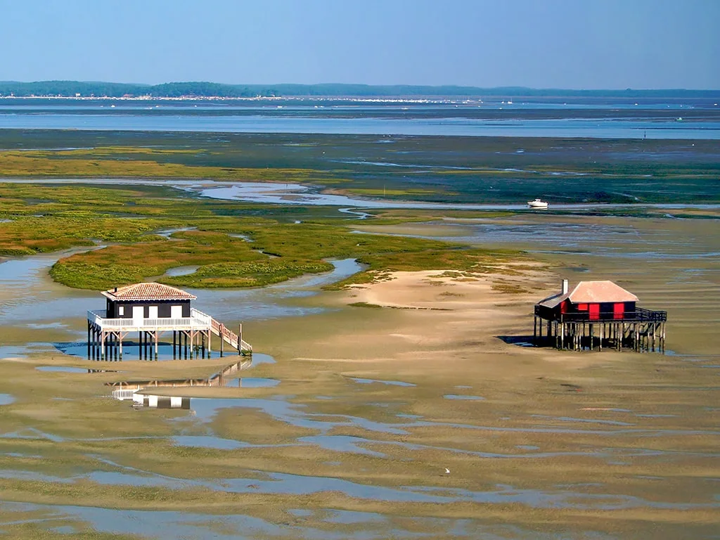 Campamento de verano de francés y surf en Arcachon, Francia 20