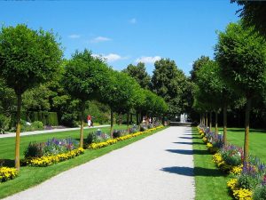 Curso de verano de alemán en Augsburg 16