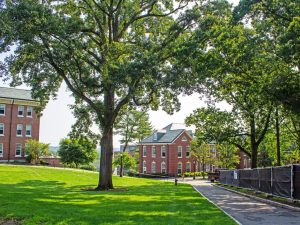 Campamento de verano en Boston para jóvenes 16