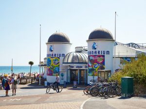 Curso de preparación First Certificate para niños y jóvenes en Bournemouth 15