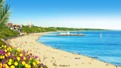 Curso de verano de preparación del examen First Certificate en Bournemouth para niños y jóvenes