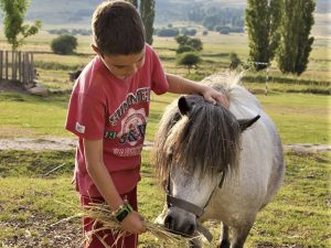 Campamento de inglés en la sierra de Gredos 14