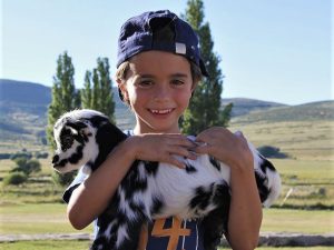 Campamento de inglés en la sierra de Gredos 16