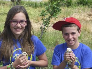 Campamento de inglés en la sierra de Gredos 3