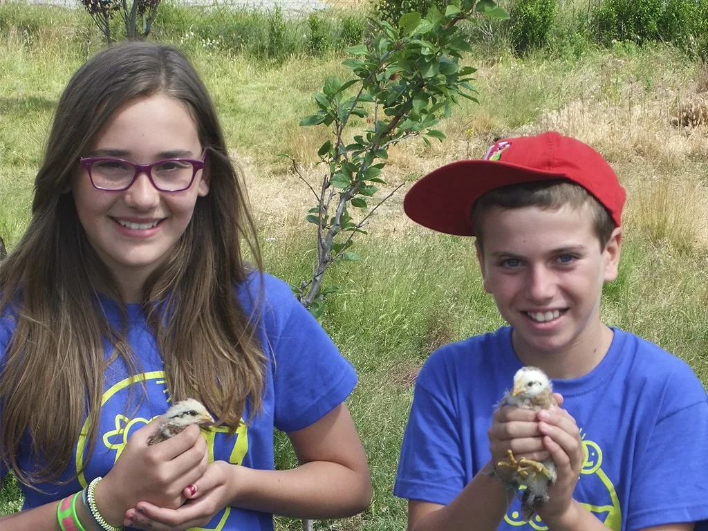 Campamento de inglés en la sierra de Gredos 3