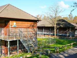 Campamento multiaventura en Inglaterra para niños y adolescentes 13