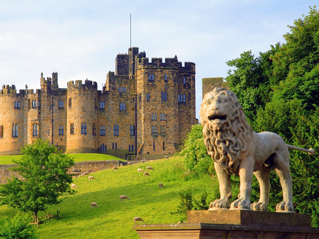 Curso de verano en Inglaterra y Escocia 10