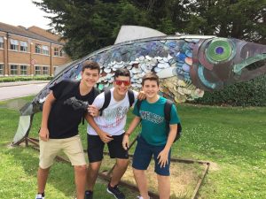 Curso de verano en Dorset, Inglaterra, para jóvenes 12