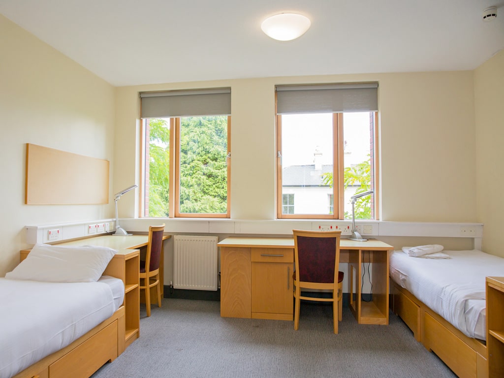 Curso de verano en Dublín para jóvenes 14