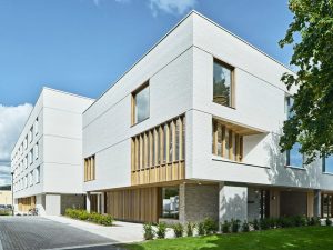 Curso de verano en Dublín para jóvenes 9