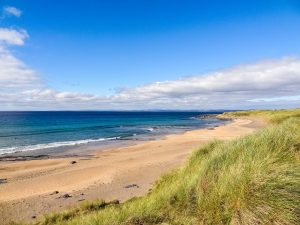 Curso de verano en Ennis (Irlanda) para niños y adolescentes 6