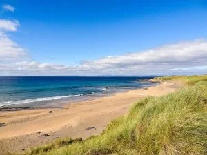 Curso de verano en Ennis (Irlanda) para niños y adolescentes 6