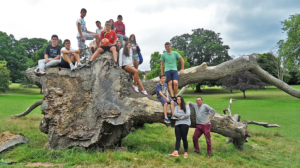Curso de verano 4 to 1 de inglés en Exmouth 1