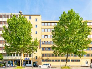 Campamento de verano en Frankfurt, Alemania 11