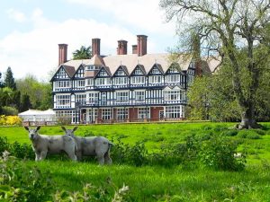 Campamento de verano de inglés y cine en Inglaterra 10