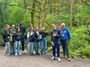 Campamento de verano de inglés y equitación en Cork 16