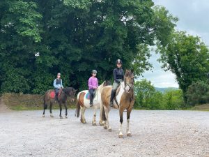 Campamento de verano de inglés y equitación en Cork 4