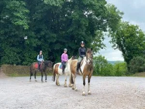 Campamento de verano de inglés y equitación en Cork 4