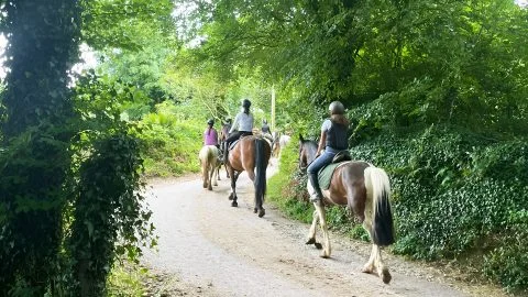 Campamento de verano de inglés y equitación en Cork 2026 para niños y adolescentes