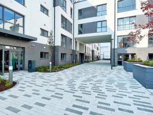 Campamento de verano de inglés y equitación en Cork 6