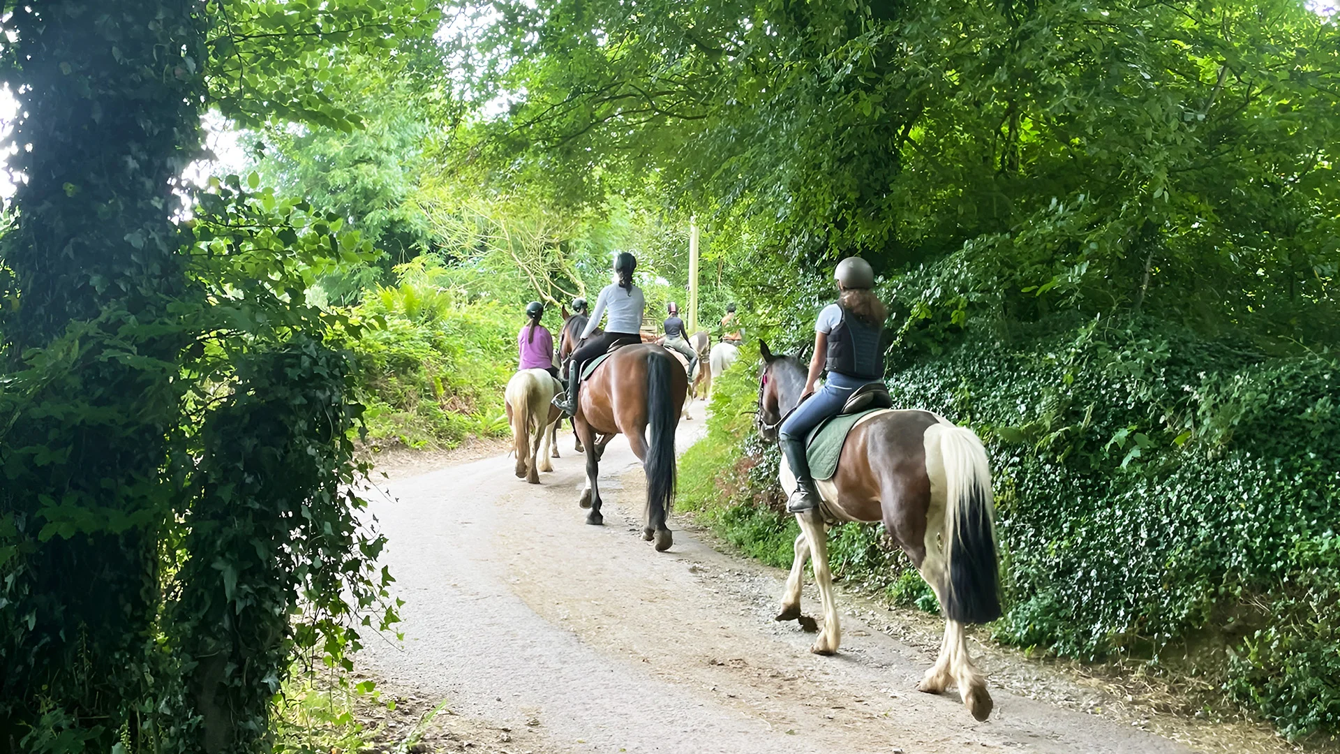 Campamento de verano de inglés y equitación en Cork