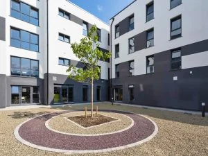 Campamento de verano de inglés y rugby en Cork 20