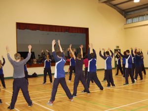 Curso de verano de inmersión en colegio irlandés 5