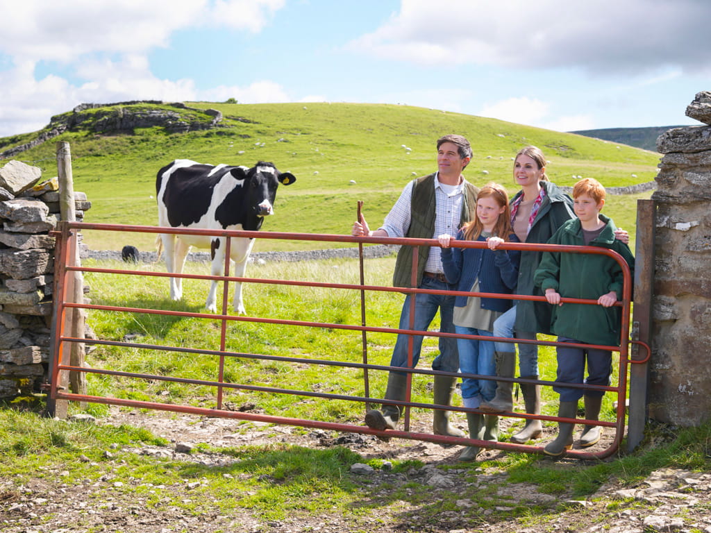 Inmersión en familia irlandesa para niños y adolescentes 1