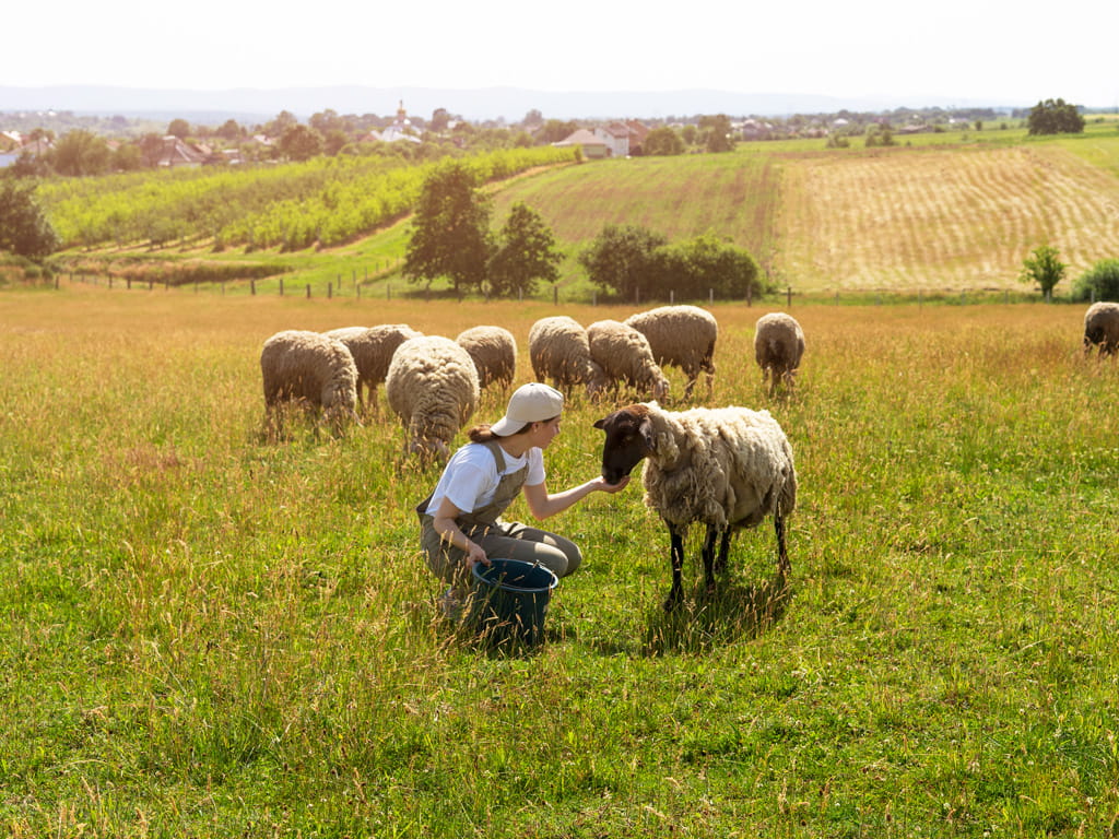 Inmersión en familia irlandesa para niños y adolescentes 11