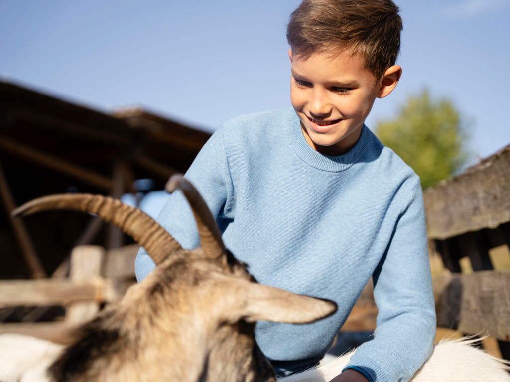Inmersión en familia irlandesa para niños y adolescentes 12