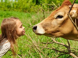 Inmersión en familia irlandesa para niños y adolescentes 13